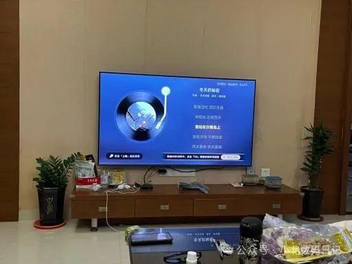 ：电视选购不迷茫TOP10推荐米乐m6电视机品牌排行榜前十名(图3)