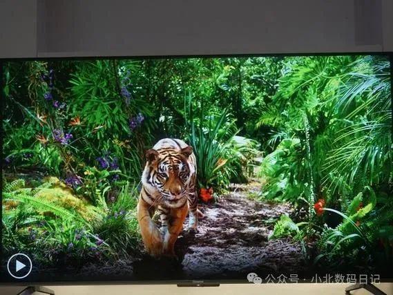 ：电视选购不迷茫TOP10推荐米乐m6电视机品牌排行榜前十名(图5)