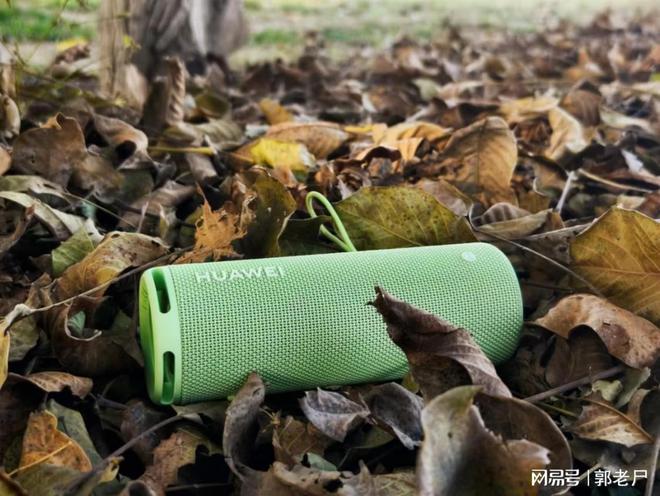 WEI Sound Joy 2去拥抱自然米乐m6网站双11户外音箱推荐带HUA(图2)